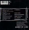 Barrel Of A Gun